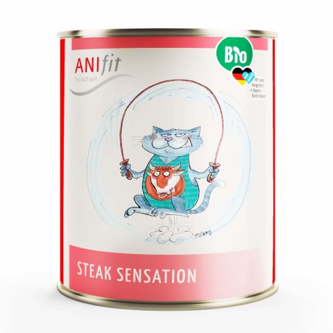 Katze Nassfutter BIO Steak Sensation 800g 6 Stück -1- Anifit
